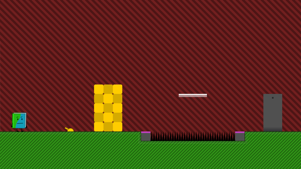 Placeholder Thumbnail