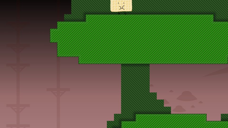 Placeholder Thumbnail