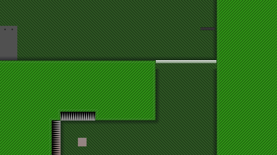 Placeholder Thumbnail